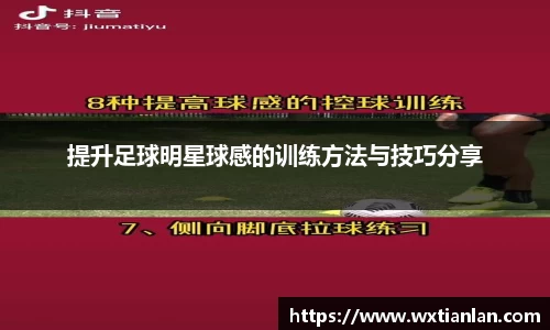 提升足球明星球感的训练方法与技巧分享